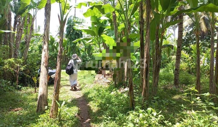 TOP DEAL FOR SALE LOSS BEACH VIEW SEA LOCATION PEKUTATAN JEMBRANA LOCATION