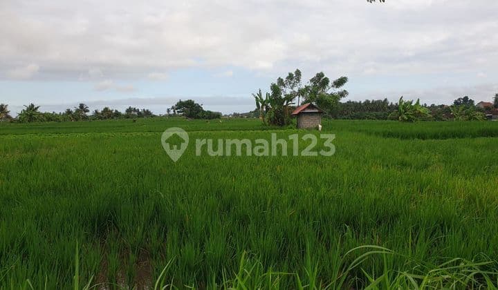 TOP DEAL DI JUAL TANAH LOKASI AGANTAKA ABIANSEMAL BADUNG