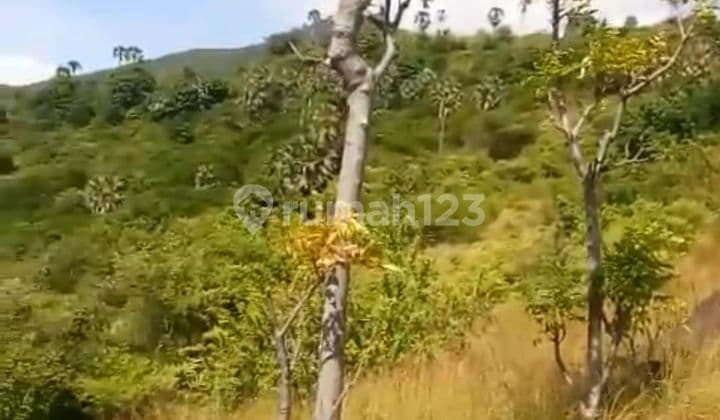 PASTI DEAL DI JUAL TANAH LOKASI BUNUTAN KARANGASEM