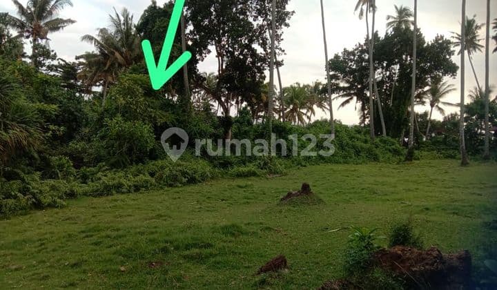 PASTI DEAL DI JUAL TANAH LOSS SUNGAI LOKASI BONIAN ANTAP LALANGLINGGAH TABANAN