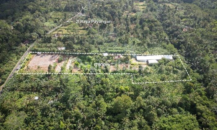 PASTI DEAL DI JUAL TANAH PINGGIR JALAN LOKASI PENYABANGAN PAYANGAN UBUD GIANYAR PASTI DEAL DI JUAL TANAH PINGGIR JALAN LOKASI PENYABANGAN PAYANGAN UBUD GIANYAR