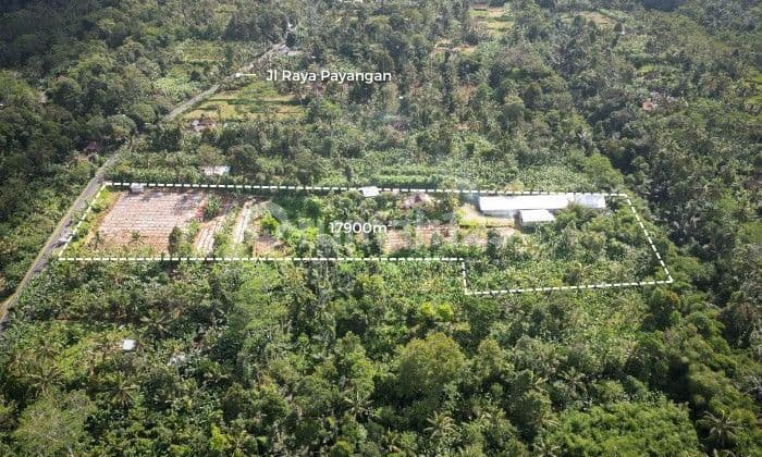 SURE DEAL FOR SALE LAND ON THE SIDE OF THE ROAD LOCATION PAYANGAN UBUD GIANYAR