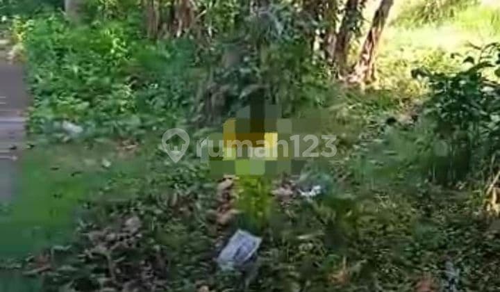 PASTI DEAL DI JUAL TANAH LOSS PANTAI VIEW LAUT LOKASI CELUKAN BAWANG GROKGAK BULELENG
