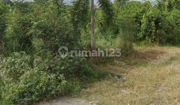 PASTI DEAL DI JUAL TANAH LOKASI MASCETI MEDAHAN BLAHBATUH GIANYAR