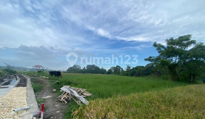 PASTI DEAL DI JUAL TANAH VIEW LAUT & SAWAH LOKASI KEDUNGU KEDIRI TABANAN