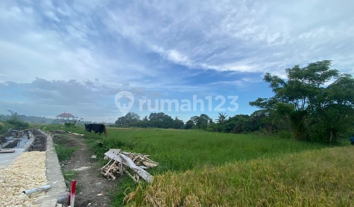 SURE DEAL FOR SALE SEA VIEW LAND & FIELD LOCATION KEDUNGU KEDIRI TABANAN