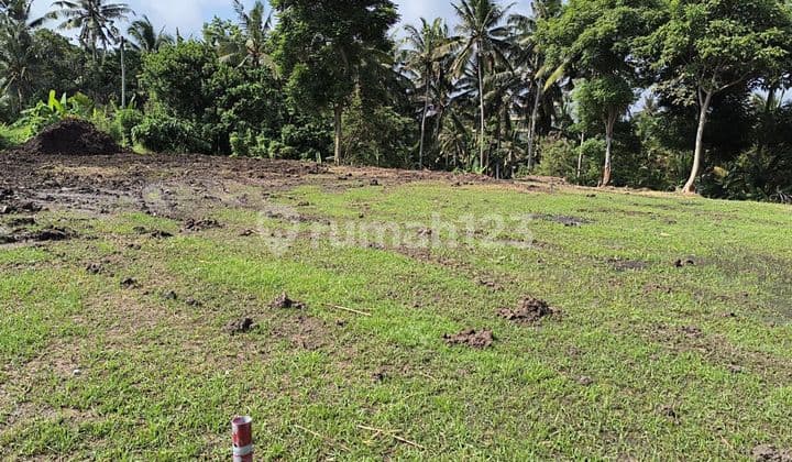 PASTI DEAL DI JUAL TANAH VIEW SUNGAI & SAWAH LOKASI LODTUNDUH UBUD GIANYAR