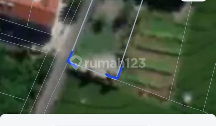 DEFINITELY DEAL FOR LAND FOR SALE IN SUBAK SARI BRAWA CANGGU KUTA UTARA BADUNG LOCATION DEFINITELY DEAL FOR LAND FOR SALE IN SUBAK SARI BRAWA CANGGU KUTA UTARA BADUNG LOCATION