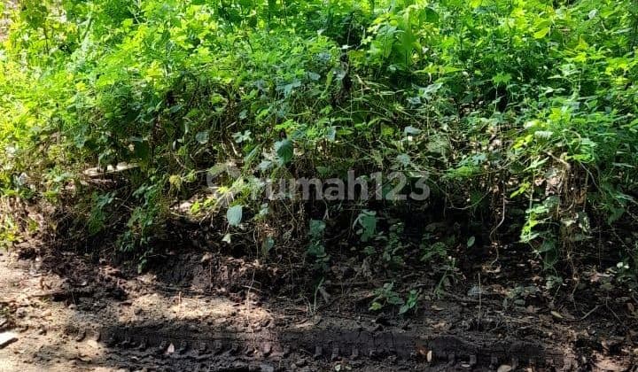 PASTI DEAL DI JUAL TANAH LOKASI OCEAN BLUE BENOA NUSA DUA KUTA SELATAN BADUNG
