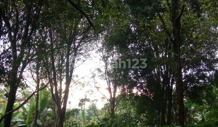 SURE DEAL ON LAND FOR SALE LOCATION GESING BANJAR BULELENG