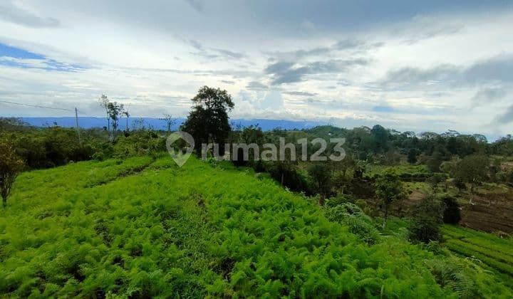 SURE DEAL FOR SALE SEA VIEW LAND LOCATION KAYU PANDAK GESING BANJAR BULELENG