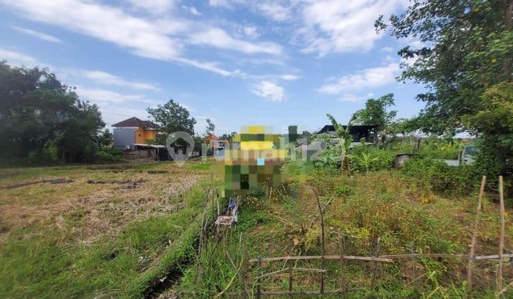 SURE DEAL ON SALE LAND LOCATION MENGWITANI MENGWI BADUNG