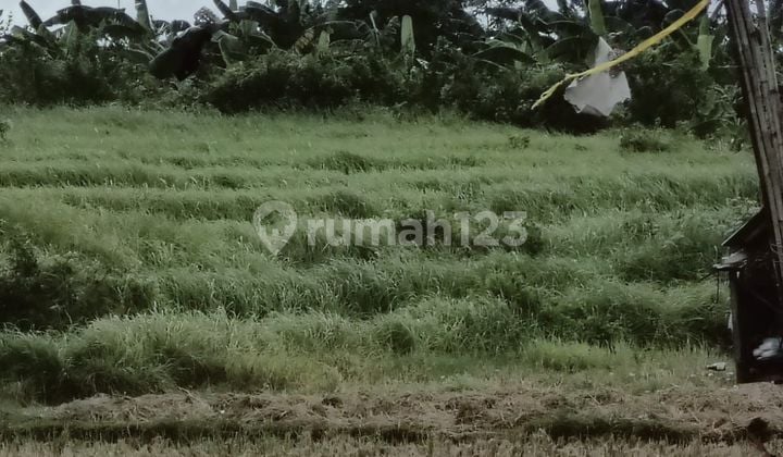 DEFINITELY A DEAL FOR LAND FOR SALE IN THE KEROBOKAN NORTH KUTA BADUNG LOCATION