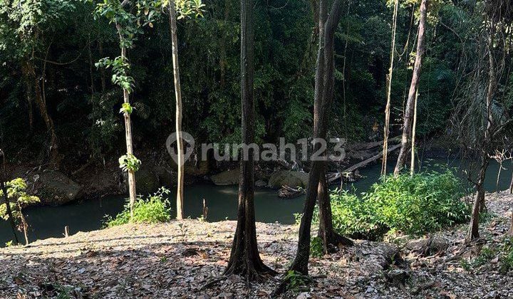 CERTAINLY CLOSING TO RENT RIVERSIDE LAND QUICK LOCATION CEPAKA TABANAN