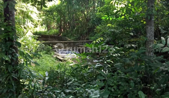 MUST CLOSE FOR RENT LAND LOSS RIVER VIEW FOREST LOCATION NEAR UBUD GIANYAR MUST CLOSE FOR RENT LAND LOSS RIVER VIEW FOREST LOCATION NEAR UBUD GIANYAR