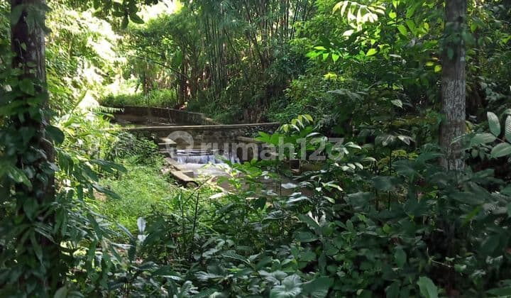 MUST CLOSE FOR RENT LAND LOSS RIVER VIEW FOREST LOCATION NEAR UBUD GIANYAR