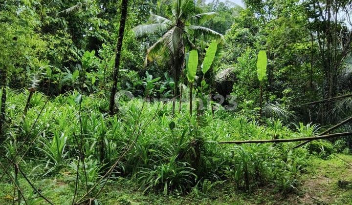 PASTI CLOSING DI JUAL TANAH LOSS SUNGAI LOKASI MAMBAL ABIANSEMAL BADUNG