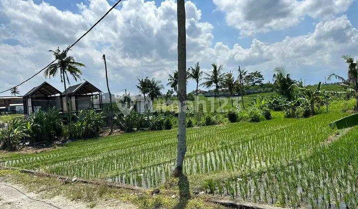 PASTI DEAL DI JUAL TANAH LOKASI NYANYI BERABAN TABANAN