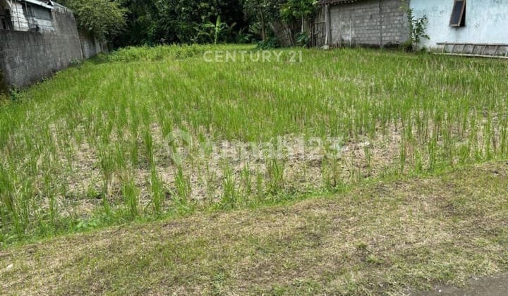 Tanah Luas 895m2 Dekat Wisata Candi Prambanan Cocok Untk Villa