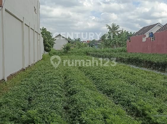 Dijual Tanah Pekarangan LT 436 M²; Ld 8 M Maguwoharjo