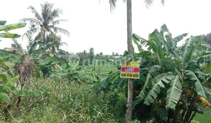 Dijual Tanah Lokasi Strategis di Jl. Padang Raya Leyangan Ungaran