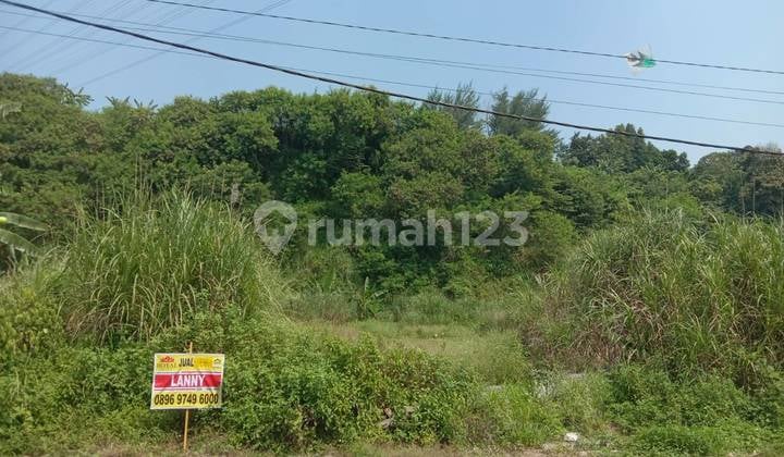 Dijual Tanah Luas Lokasi Kawasan Industri Candi Semarang