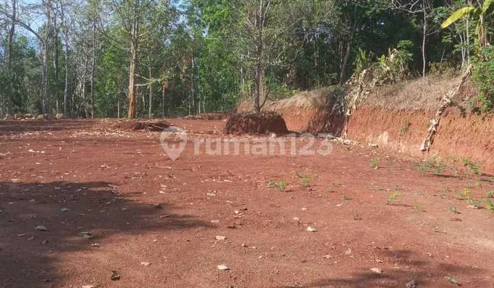 Land for Sale, Spacious Location in Gg. Kauman Kedungpane Semarang Land for Sale, Spacious Location in Gg. Kauman Kedungpane Semarang