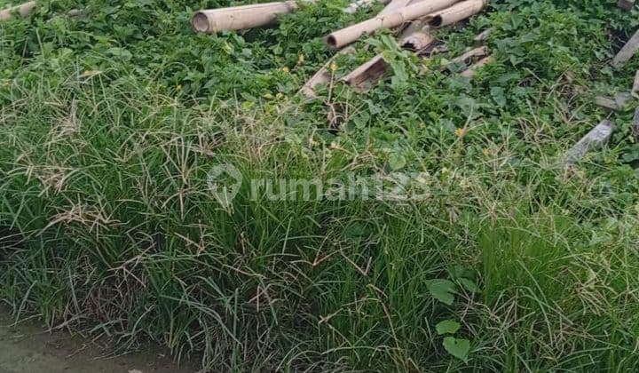 For Sale Land Location Jalan Padma, Penatih, East Denpasar