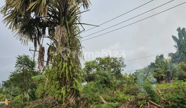 Tanah Komersial Strategis - Pengambengan, Jembrana Bali Zona Perdagangan & Jasa | Cocok Gudang - Warehouse - Factory
