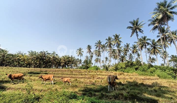 Dijual Tanah di Pantai Balian Tabanan