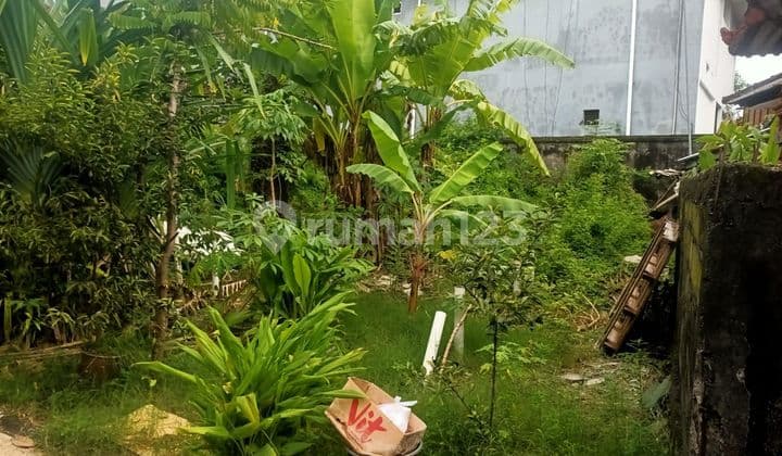 Dijual Tanah Kosong Siap Bangun Lokasi di Jalan Gunung Cemara, Monang-Maning, Denpasar Barat