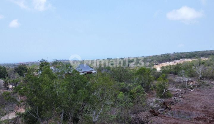 Dijual Cepat Untuk Investor Tanah di Bukit, Jimbaran