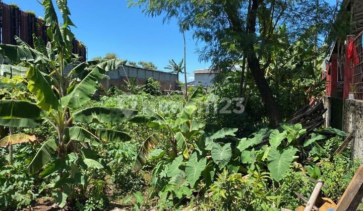 Disewakan Tanah Lb 1.200M di Legok Tangerang