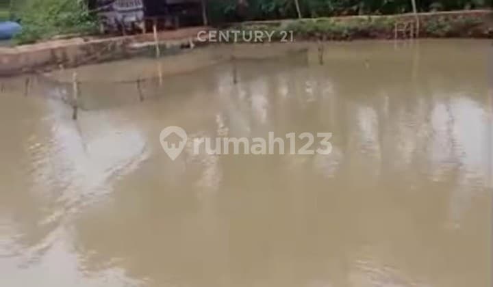 Land and Fish Pond Already Have Electricity Cimanuk Pandeglang