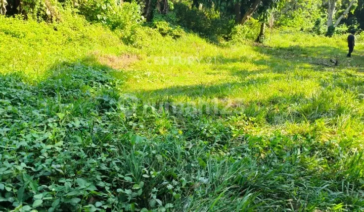 Tanah Sepang Taktakan Nego Sampai Deal