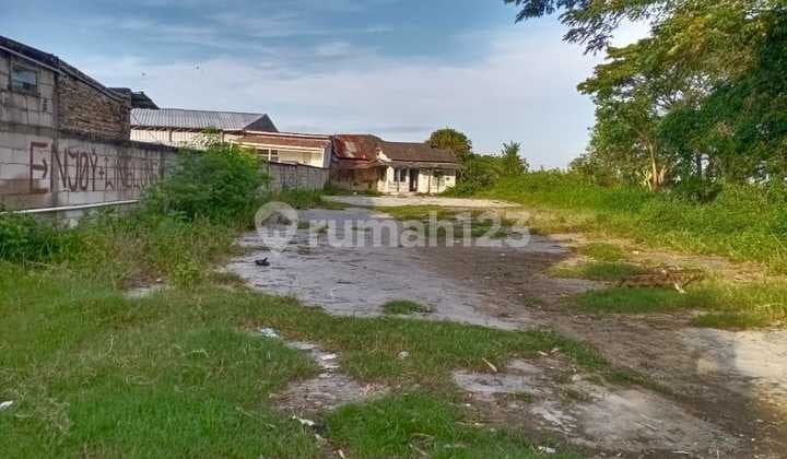 Tanah Harga Miring Jl Sukamandi Kasemen