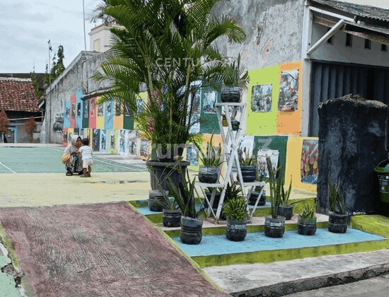 Tanah Sudah Rapi Belakang Le Dian Ciceri