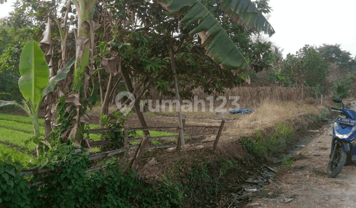 Tanah Kebun Perumahan Puri Gemilang Tambak