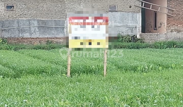 Tanah Sawah Kubang Laban Jalan Bojonegara