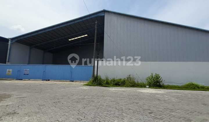 For Rent New Warehouse - Bumi Maspion Warehousing Romokalisari Surabaya