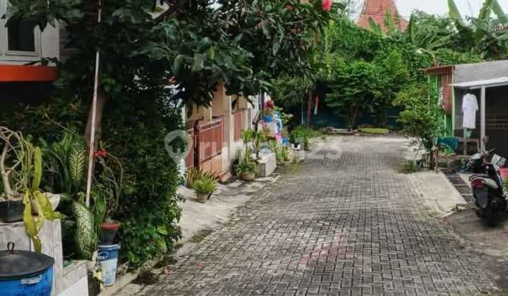 Dijual Rumah Siap Huni Dekat Unimus Kedungmundu Jl Amposari