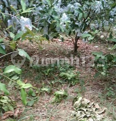 Lahan Cibarusa 4200M Izin Bangun Perumahan Subsidi di Bekasi #1153