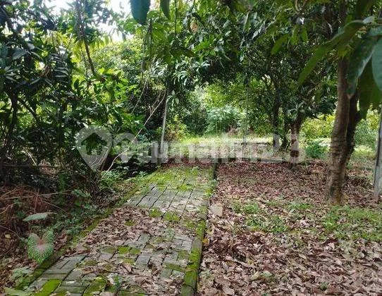 Tanah Pondok Gede Cocok untuk Cluster di Kemangsari Jatikramat Bekasi #1035