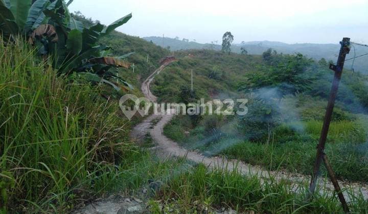 Tanah dan Kebun 128.000M2 di Sukanagara, Gunung Sari, Cianjur #1150