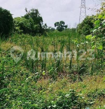 Tanah Tarumajaya Murah Akses Kontainer Dekat Pintu Toll Tarumajaya, Bekasi #1038