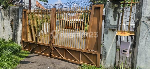 Rumah Cantik Ngantong di Tengah Kota Semarang