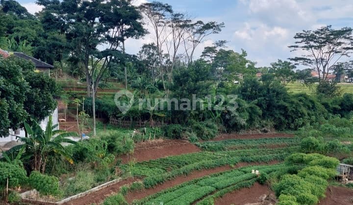 Dijual Tanah Dibawah NJOP