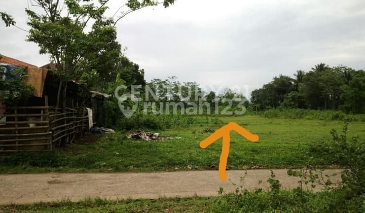 Quick Sale at NJOP Price Great for Investment in Developing Area