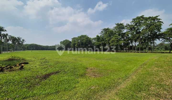 Premium Golf Hill BSD Plot for Sale