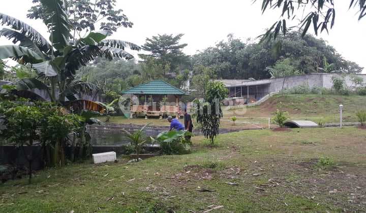 Di Jual Tanah Dan Kebun, Pesona Alam di Rumpin, Bogor